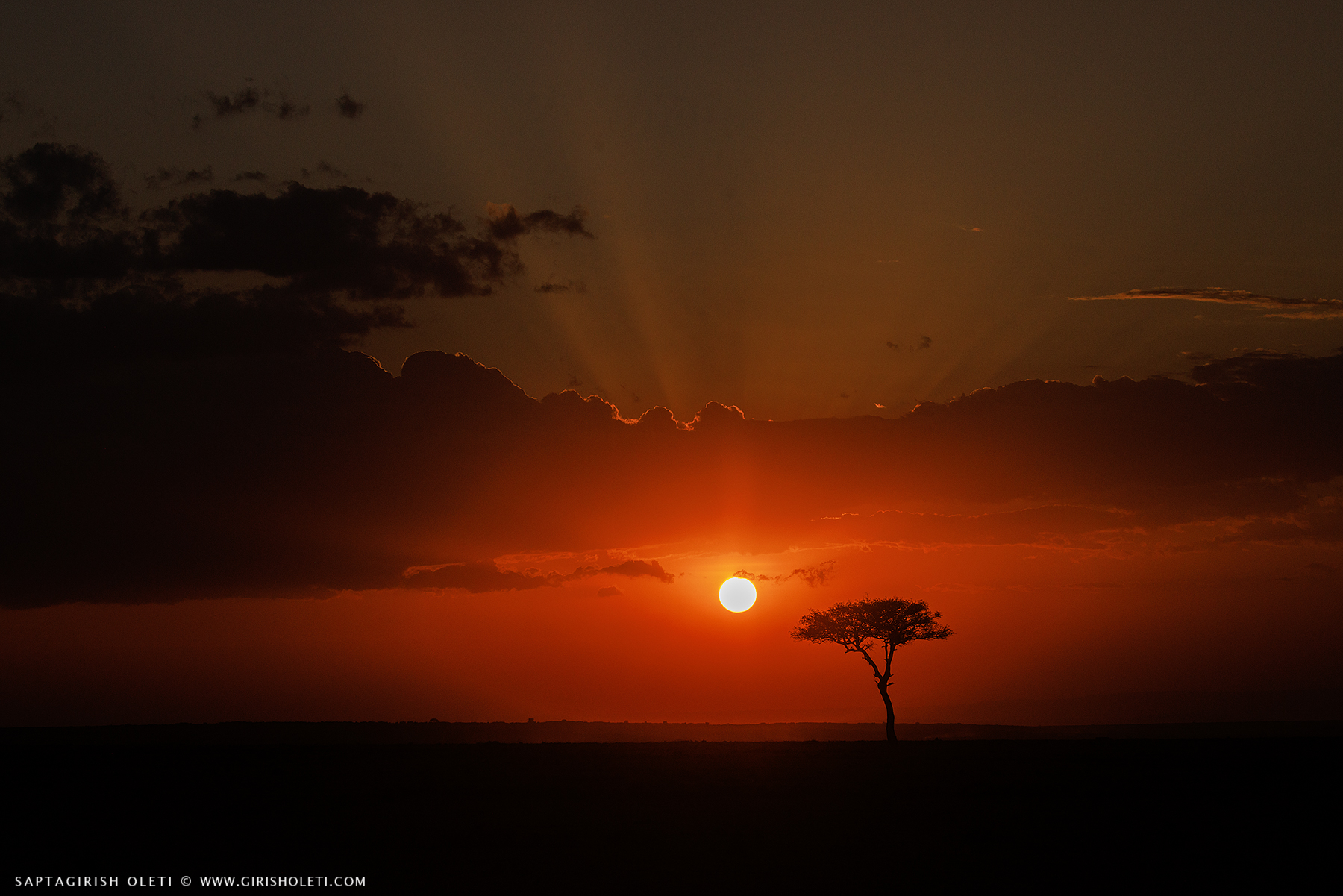 Masai Mara Evening photographed at Masai Mara